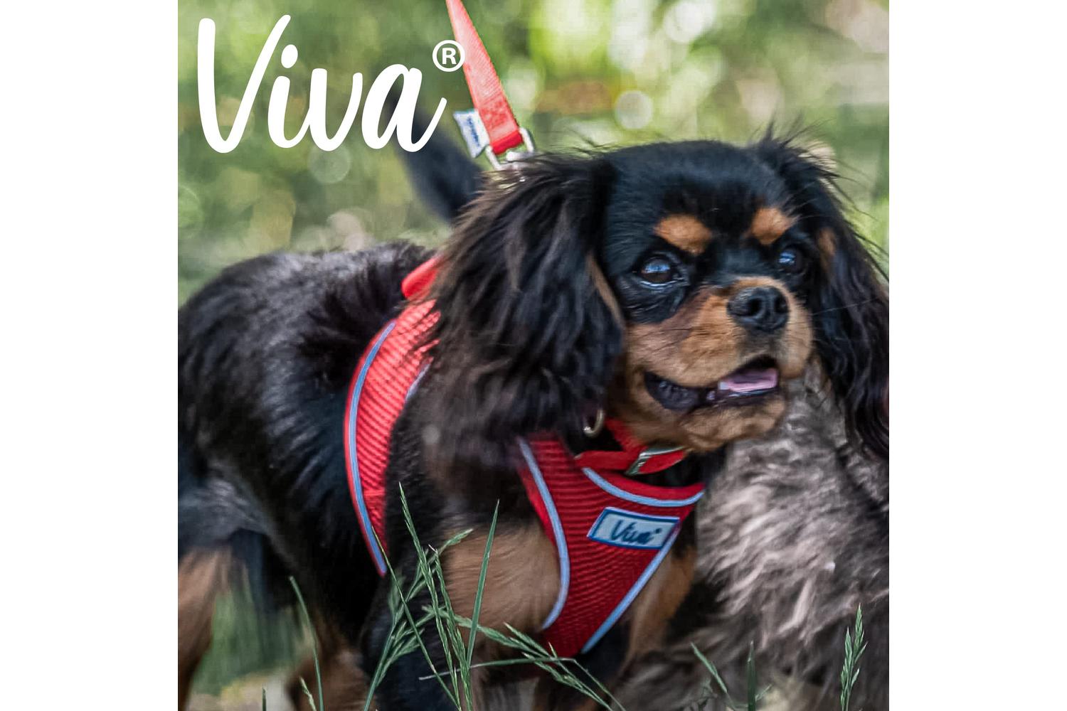 Ancol Bp-800175 - An Nylon Dog Collar Red 39-48cm Size 5-3