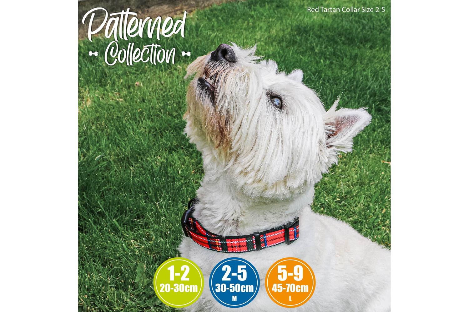 Ancol Bp-763116 - An Adj Coll Tartan Red Sml 20-30cm-2