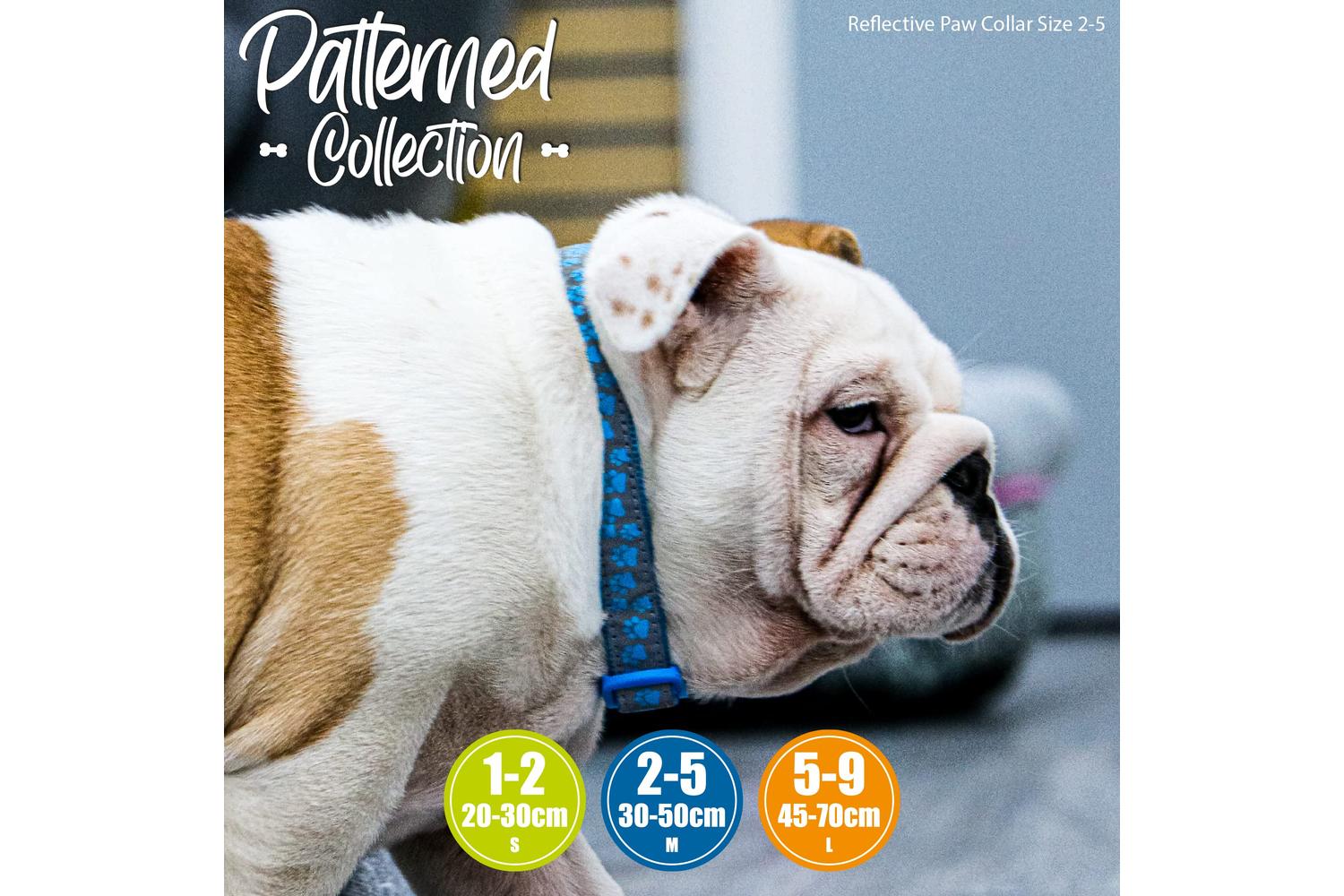 Ancol Bp-584014 - An Refl Lead Paw Blue - 100-1.9cm-3