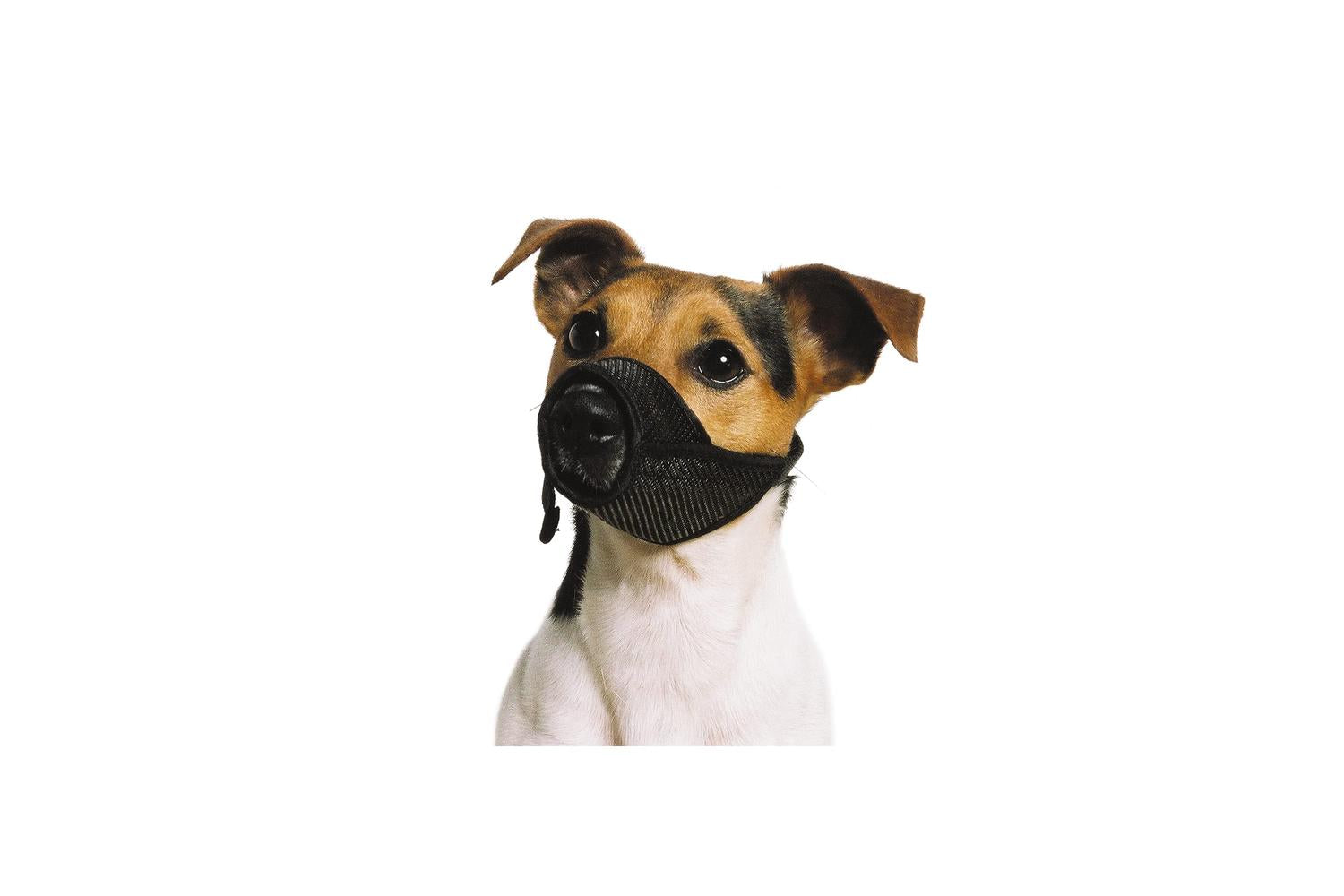 Ancol Bp-500628 - An Mesh Dog Muzz Size 1 12x11.5-2