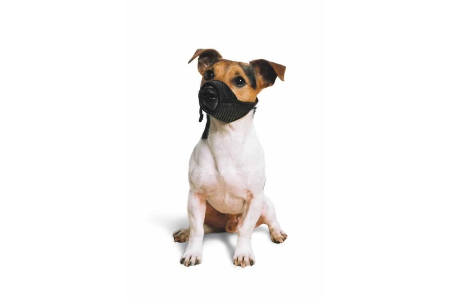 Ancol Bp-500638 - An Mesh Dog Muzz Size 0 - 11x8.5cm-2