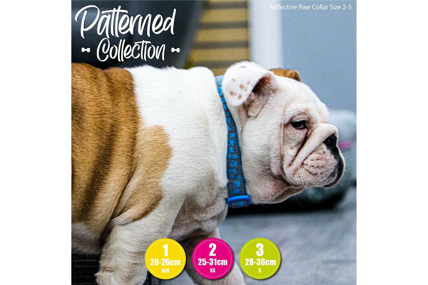 Ancol Bp-583973 - An Reflect Coll Paw Blue - 20-30cm-3