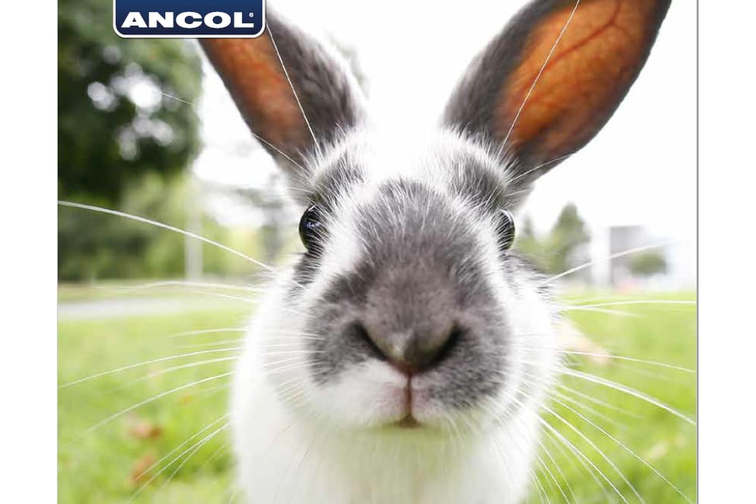 Ancol Bp-604184 - An Rabbit Comb Dbl Sided Sgl-2