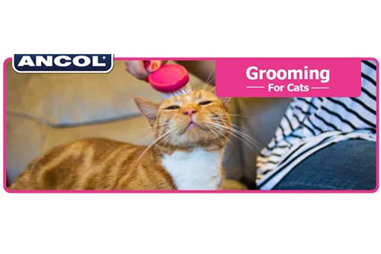 Ancol Bp-39222 - An Ergo Cat Slicker Brushsgl-3