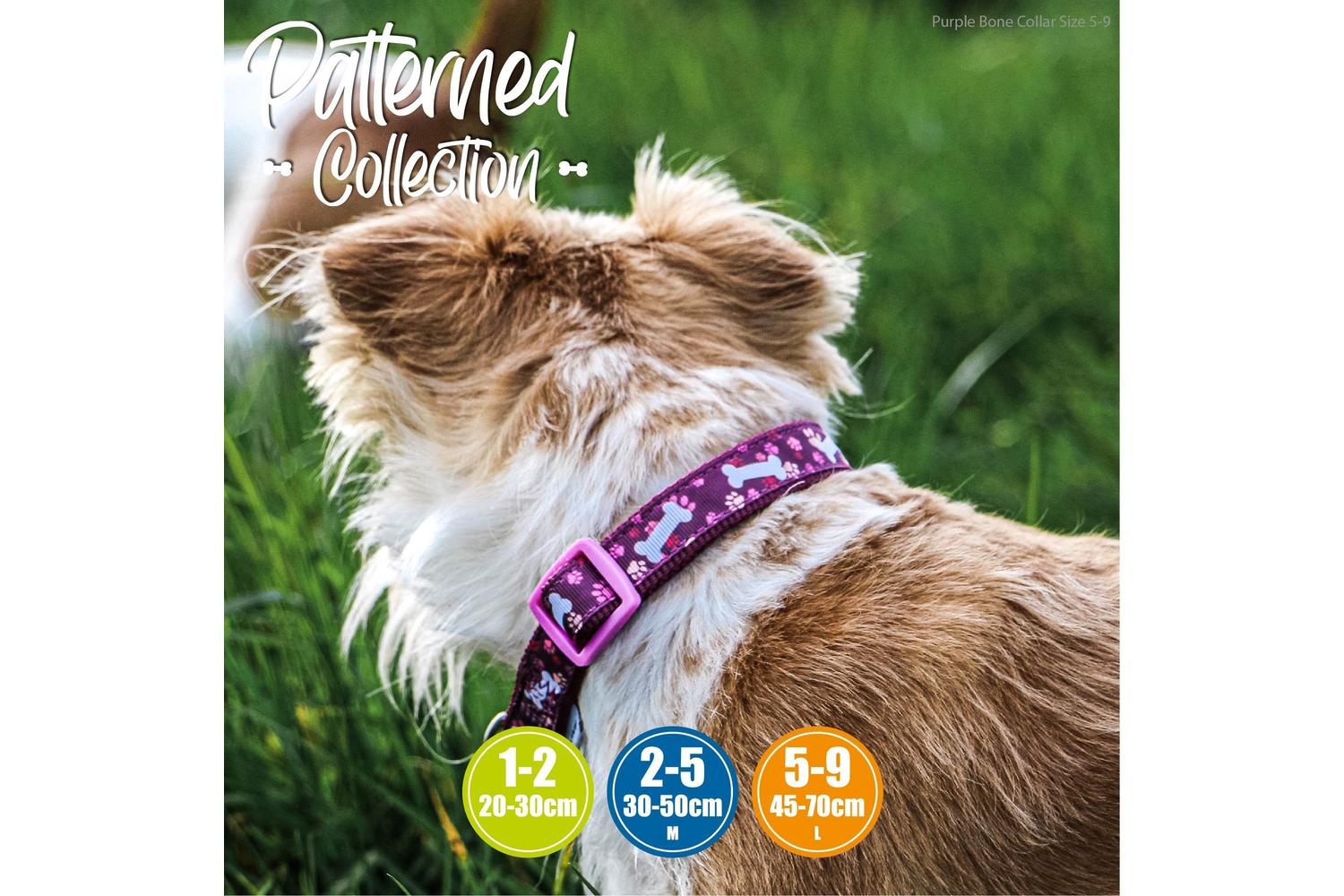 Ancol Bp-647872 - An Collar Purple Bone - 20-30cm-2