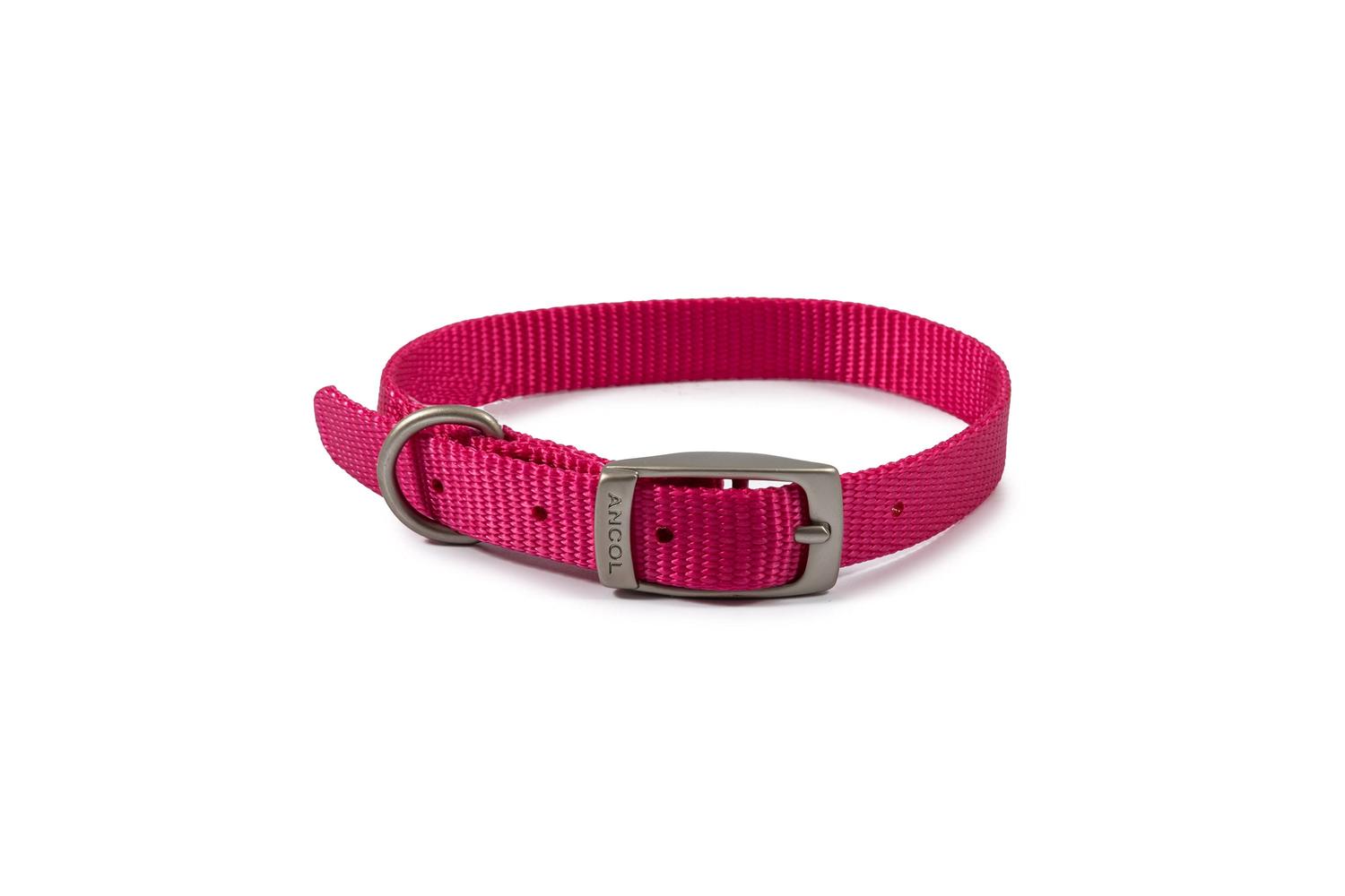Ancol Bp-206498 - An Nylon Dog Collar Rasp - 28-36cm Si