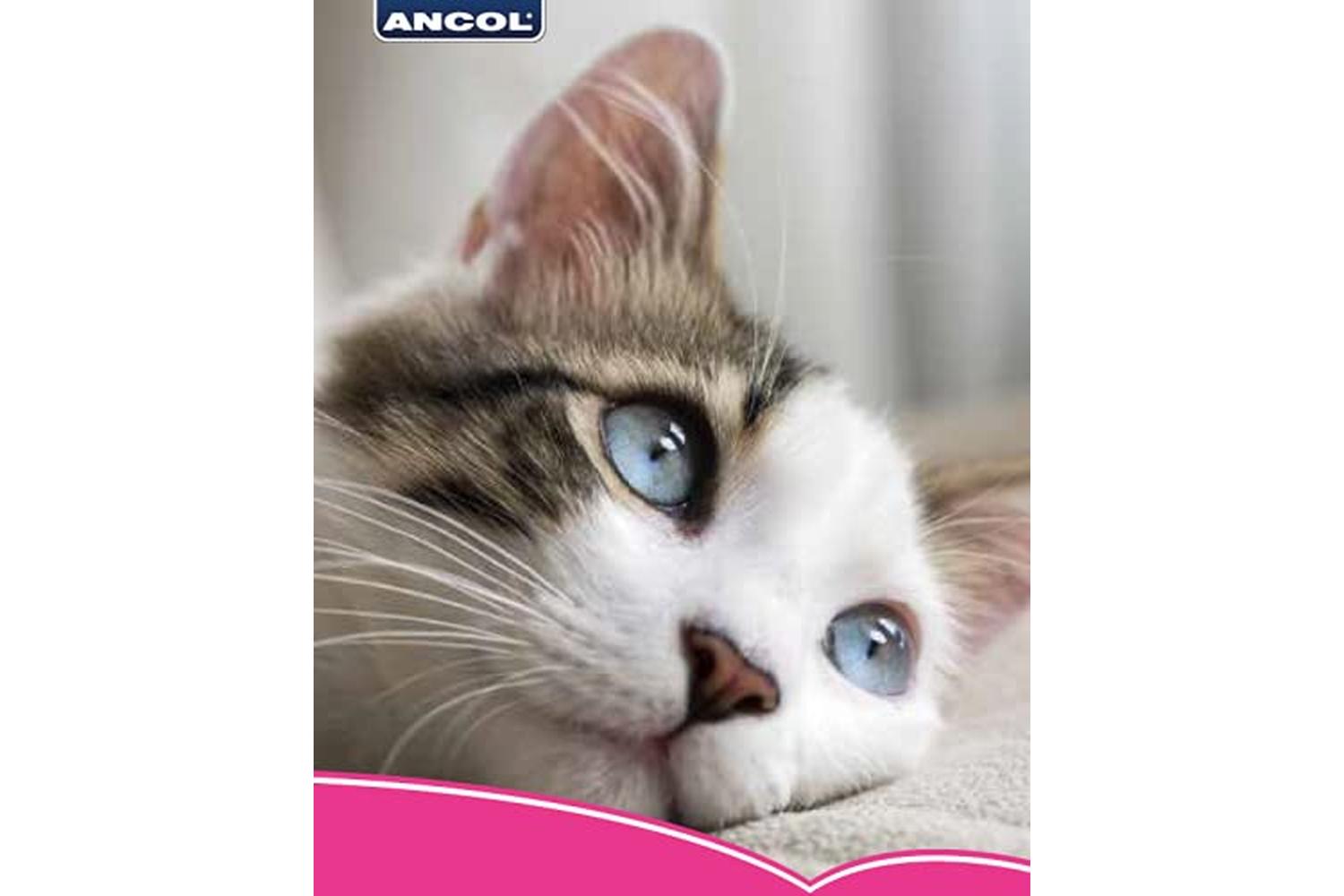 Ancol Bp-242165 - An Cat Col Gloss Ref Red-3