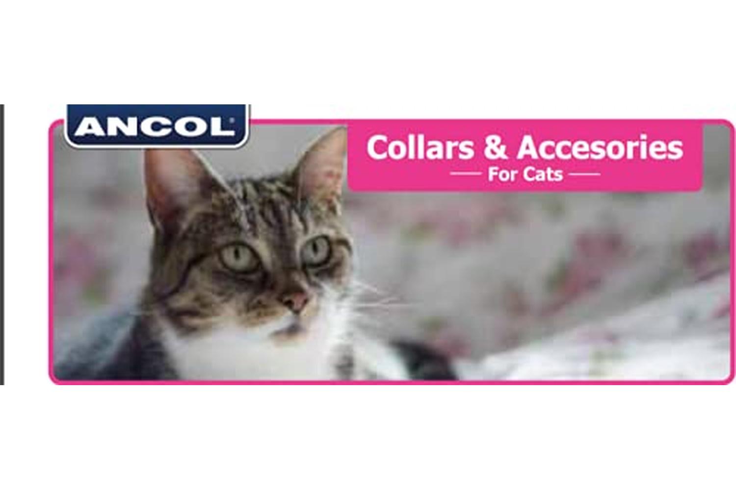 Ancol Bp-396244 - An Collar Kitt Hiviz Org 11-20cm-2