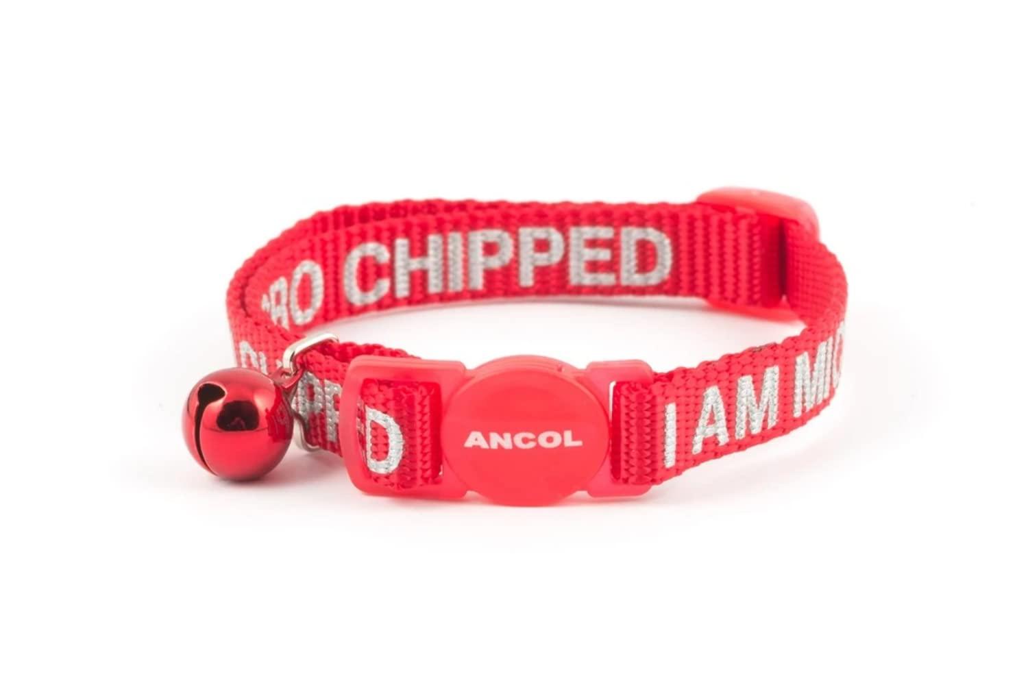 Ancol Bp-284666 - An Cat Collar M'chipped 20-30cm