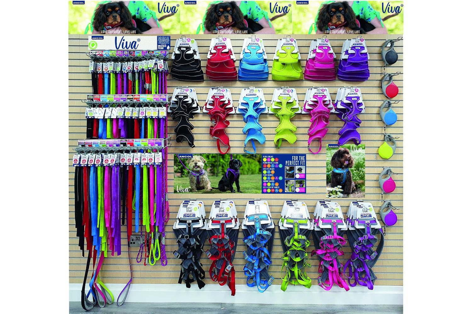Ancol Bp-874269 - An Nylon Dog Collar Blk 20-26cm Size 1-3
