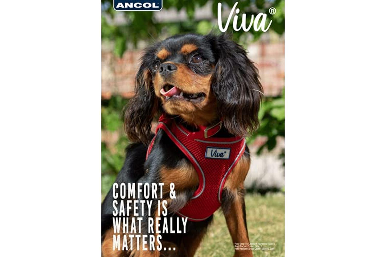 Ancol Bp-800131 - An Nylon Dog Collar Red 20-26cm Size 1-2