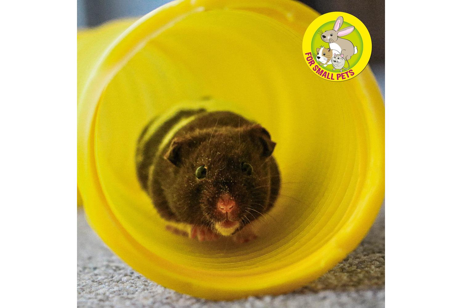 Pet Plancol Bp-345914 - An Sml Animal Tuff Tube 75cm-3