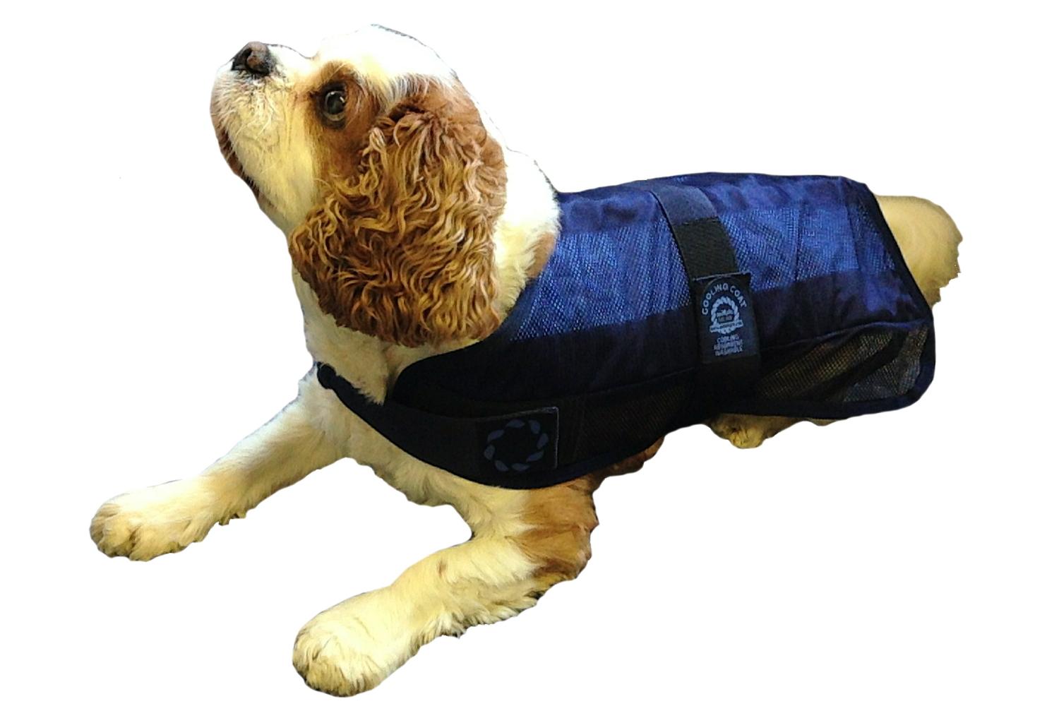 Animate Bp-610488 - Ani Dog Cooling Coat - Sml-2