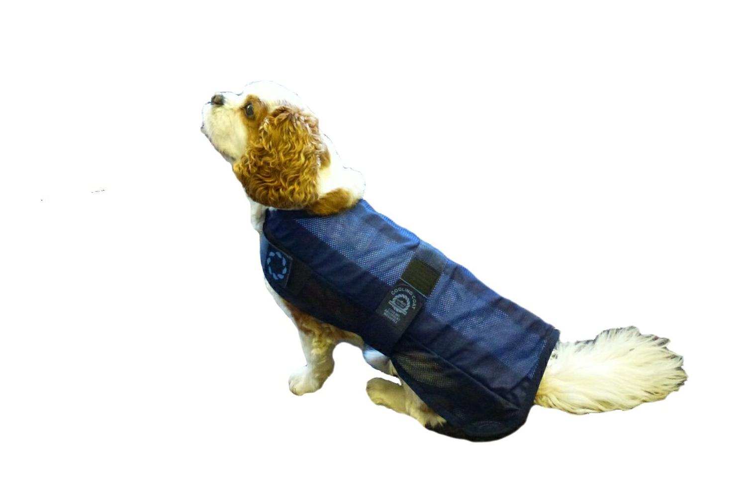 Animate Bp-610488 - Ani Dog Cooling Coat - Sml-3