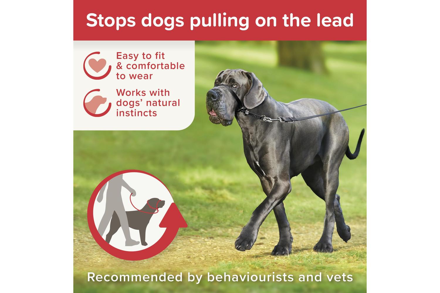 Beaphar Bp-570373 - Beaphar Gentle Leader Blklge-2