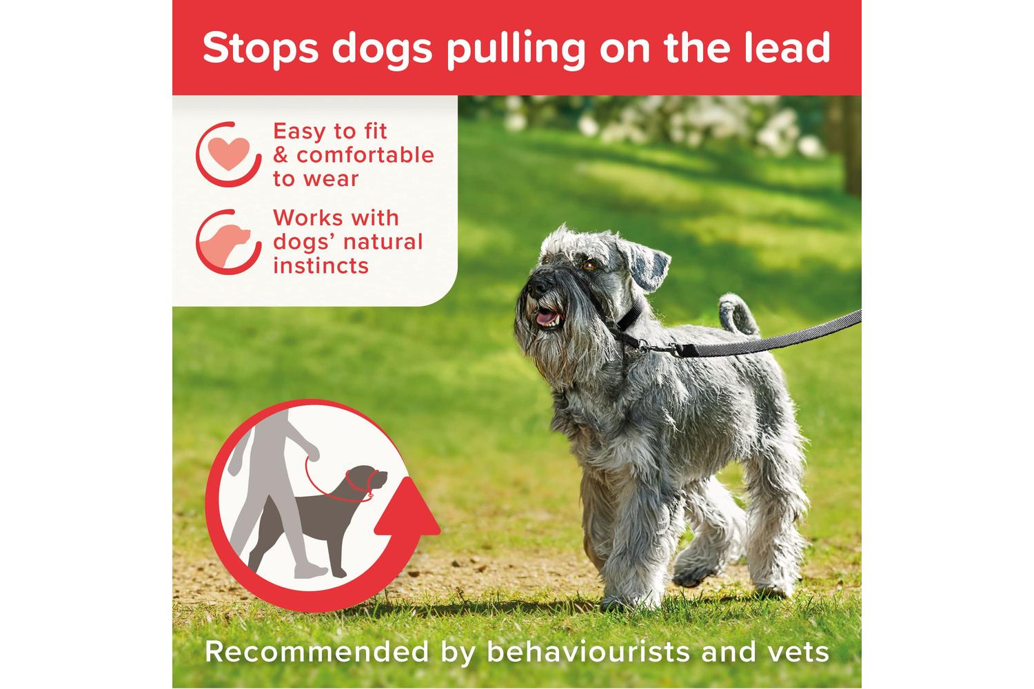 Beaphar Bp-570383 - Beaphar Gentle Leader Blksml-2