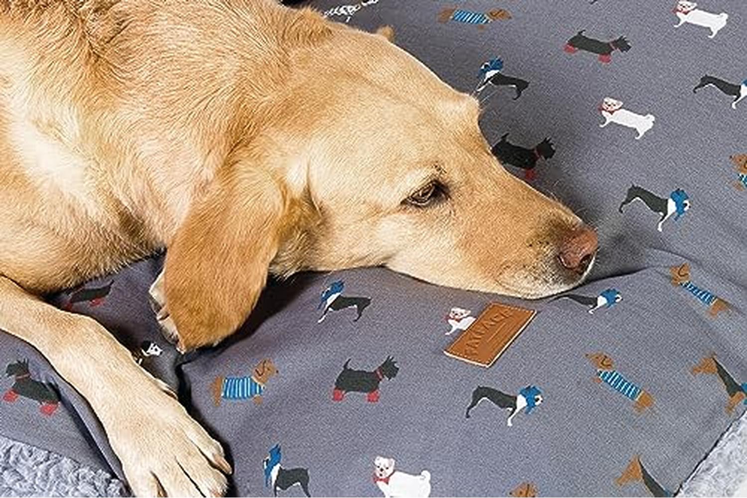 Beauty Water Bp-661215 - Dd Fface March Dog Duvet - Med-2