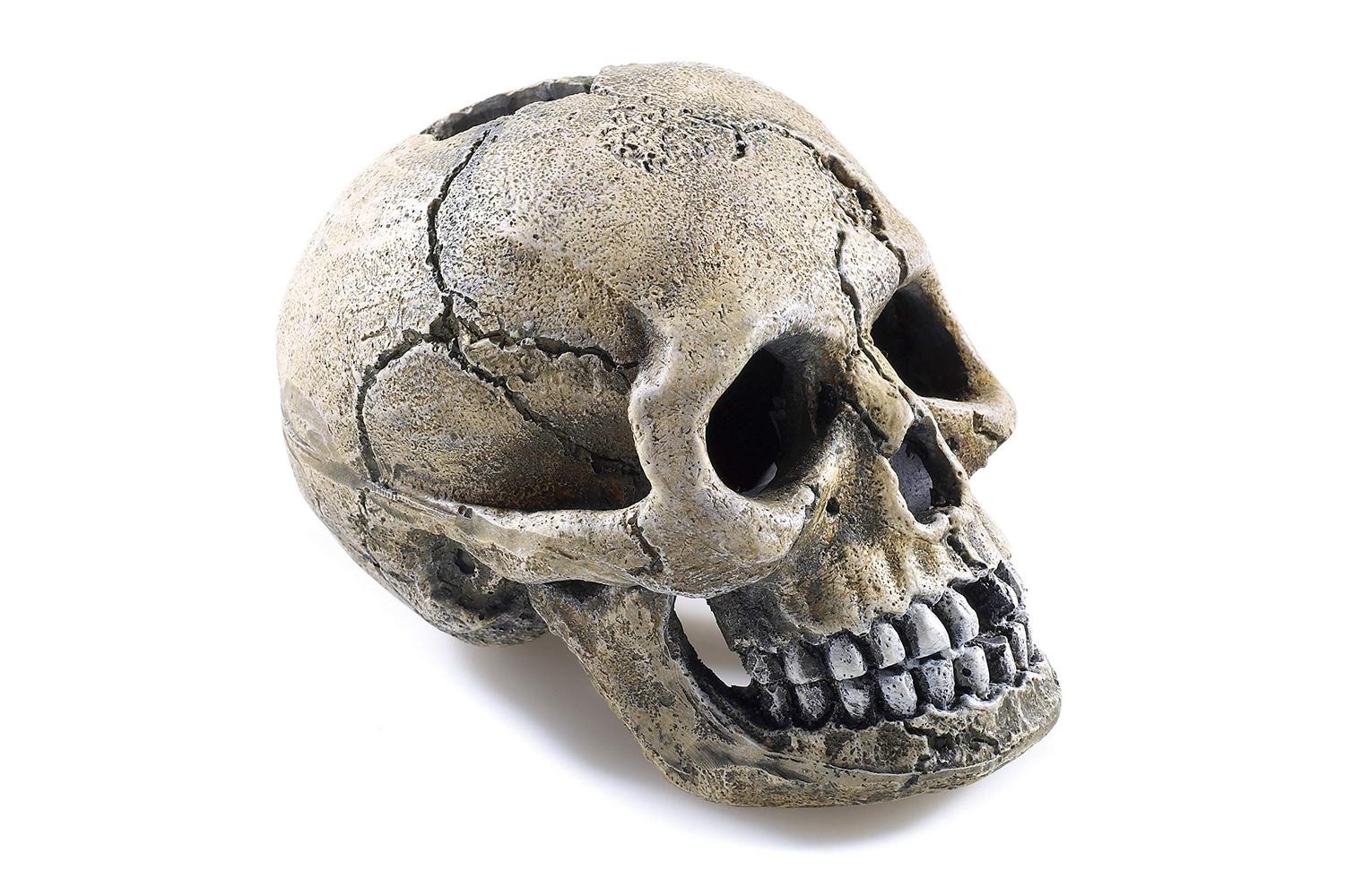 Classic Bp-545691 - Classic Spooky Skull 8.5cm-3