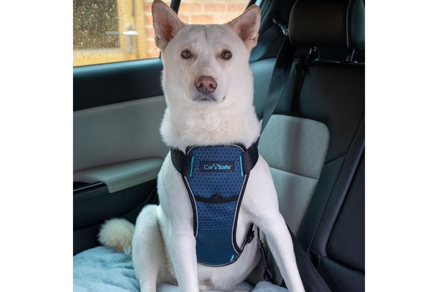 Company Of Animals Bp-740612 - Carsafe C/test Harness-2