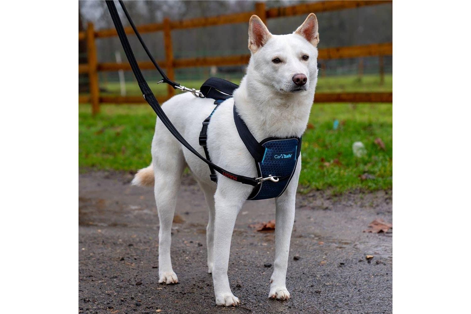 Company Of Animals Bp-740612 - Carsafe C/test Harness-3