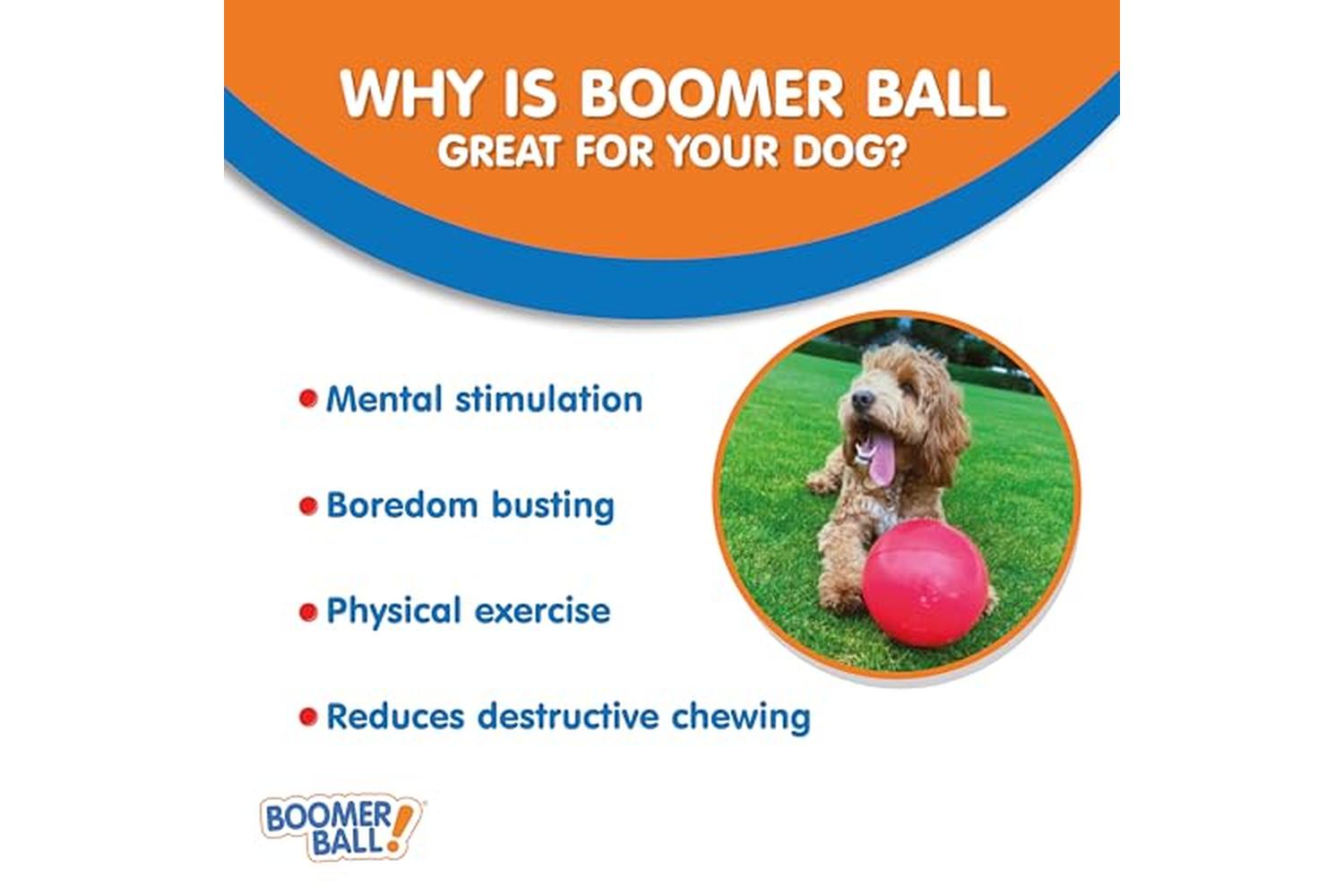 Company Of Animals Bp-357037 - Boomer Ball 10"-3
