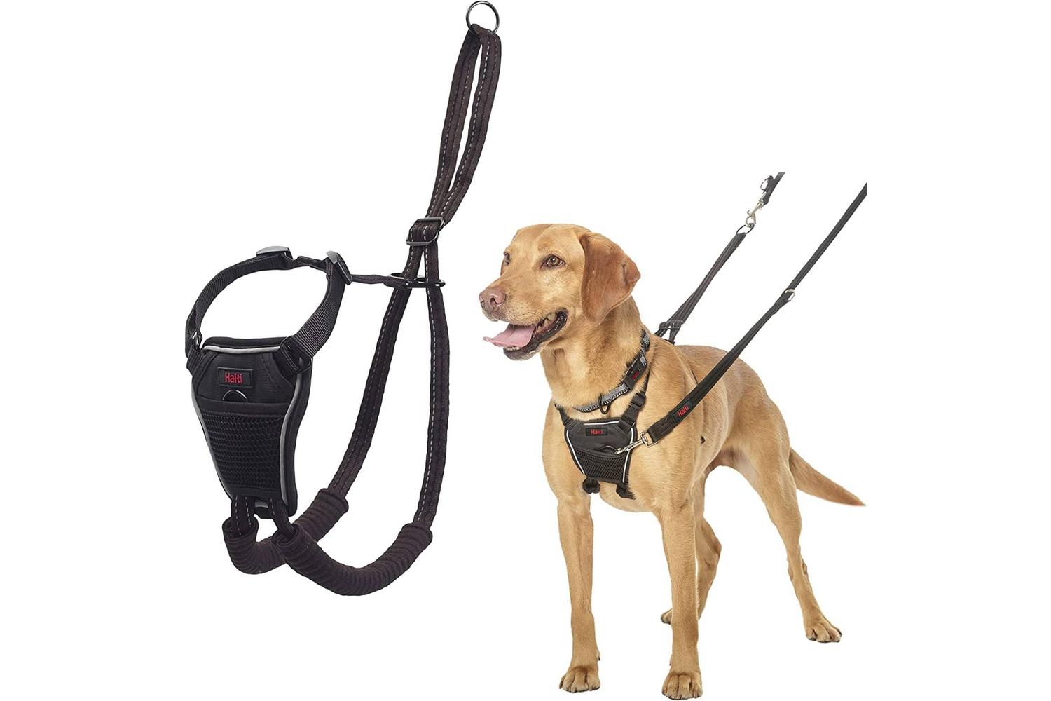 Company Of Animals Bp-610744 - Halti No Pull Harness Med