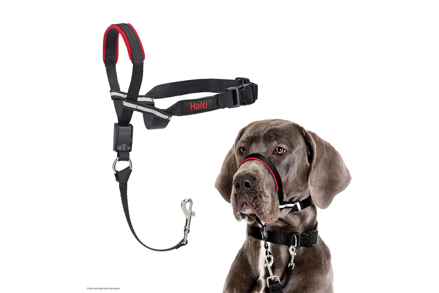 Company Of Animals Bp-120297 - Halti Optifit Lge
