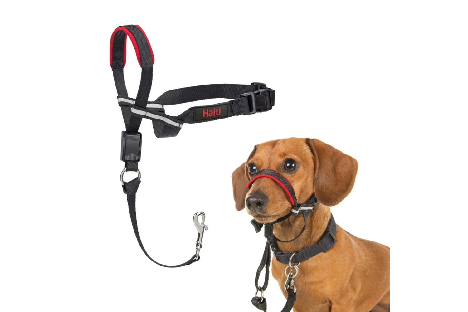 Company Of Animals Bp-120353 - Halti Optifit Sml
