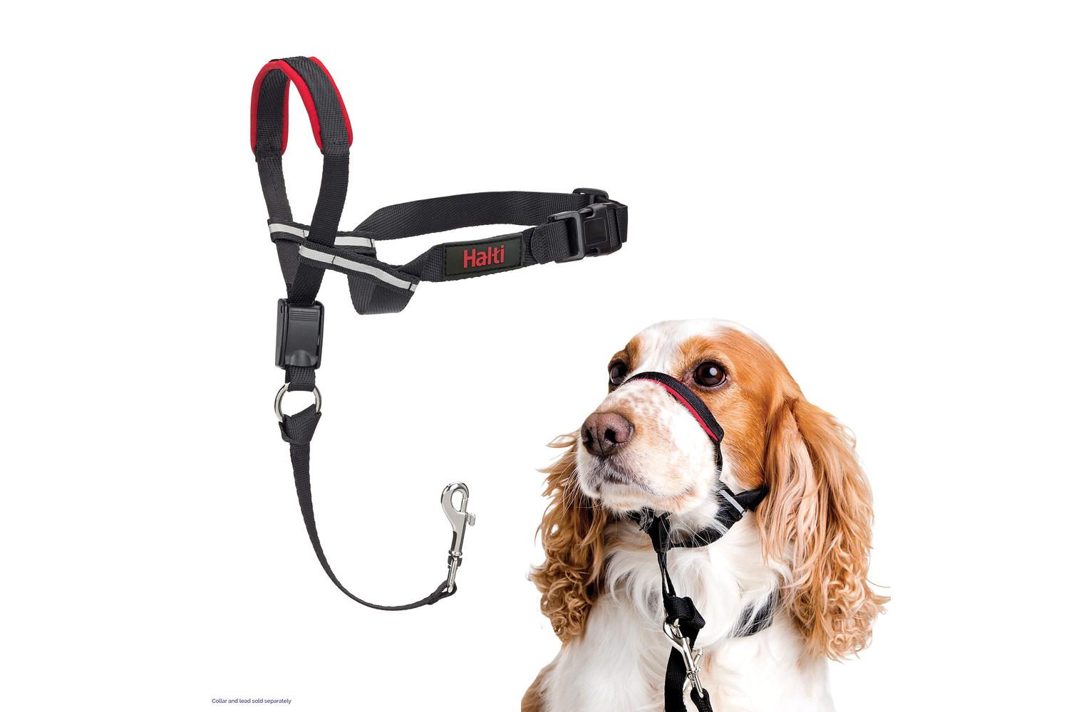 Company Of Animals Bp-120342 - Halti Optifit Med