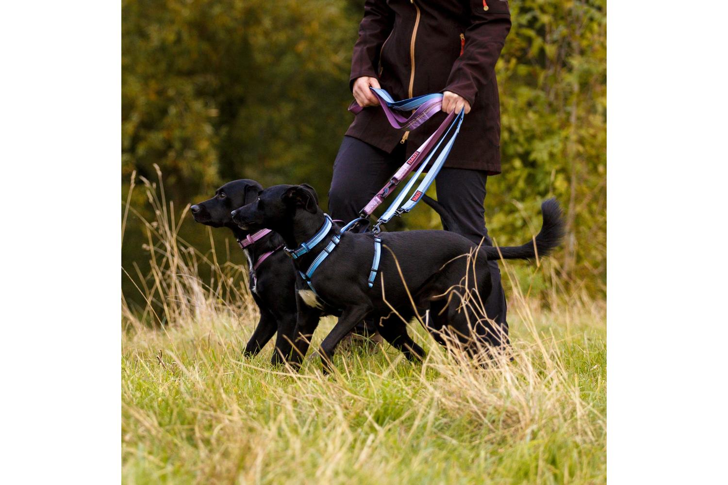 Company Of Animals Bp-580457 - Halti Dbl End Lead Purp Lge-3