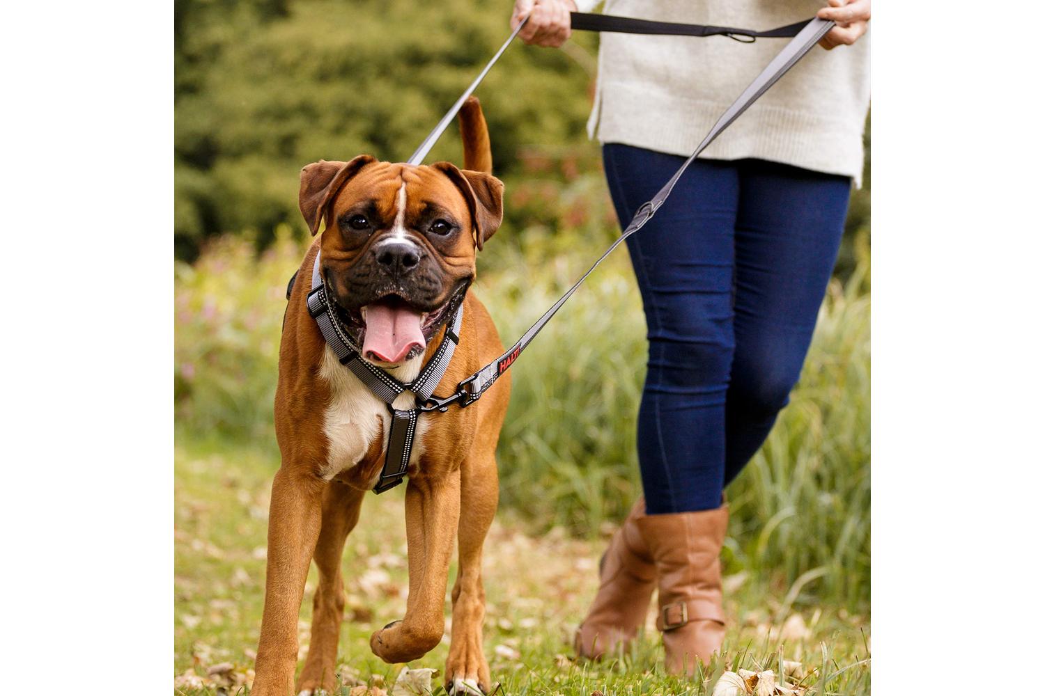 Company Of Animals Bp-580435 - Halti Dbl End Lead Black Lge-3