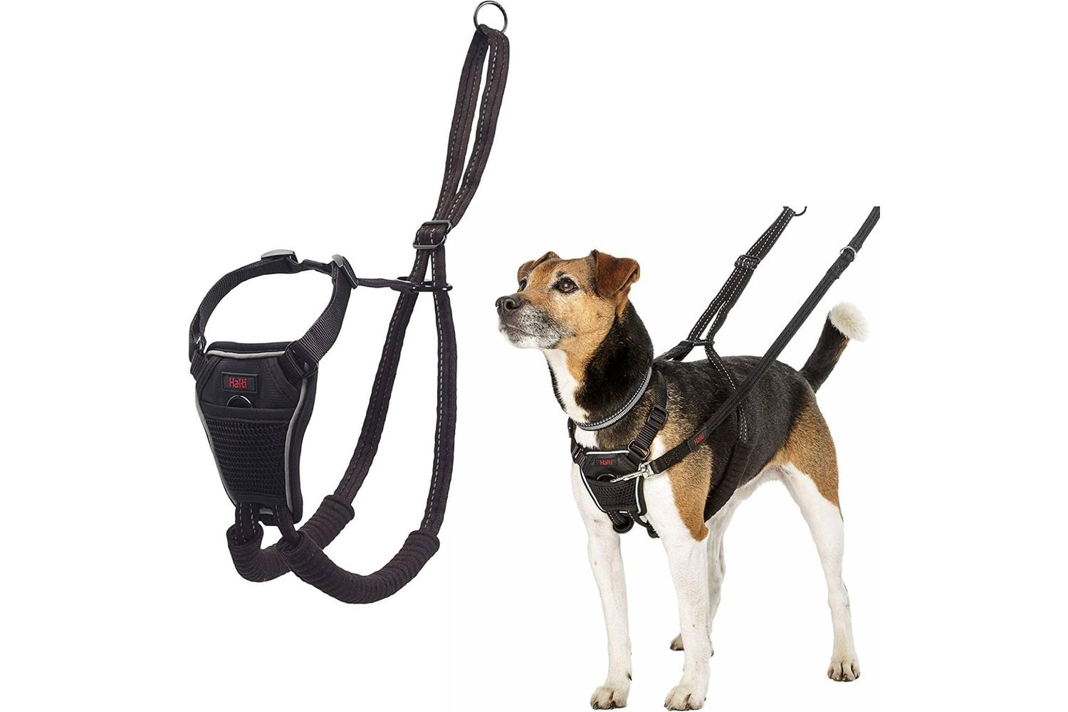 Company Of Animals Bp-610733 - Halti No Pull Harness Sml