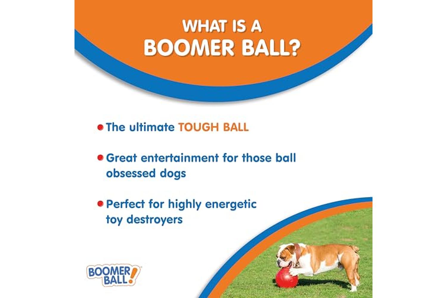 Company Of Animals Bp-357026 - Boomer Ball 8"-2