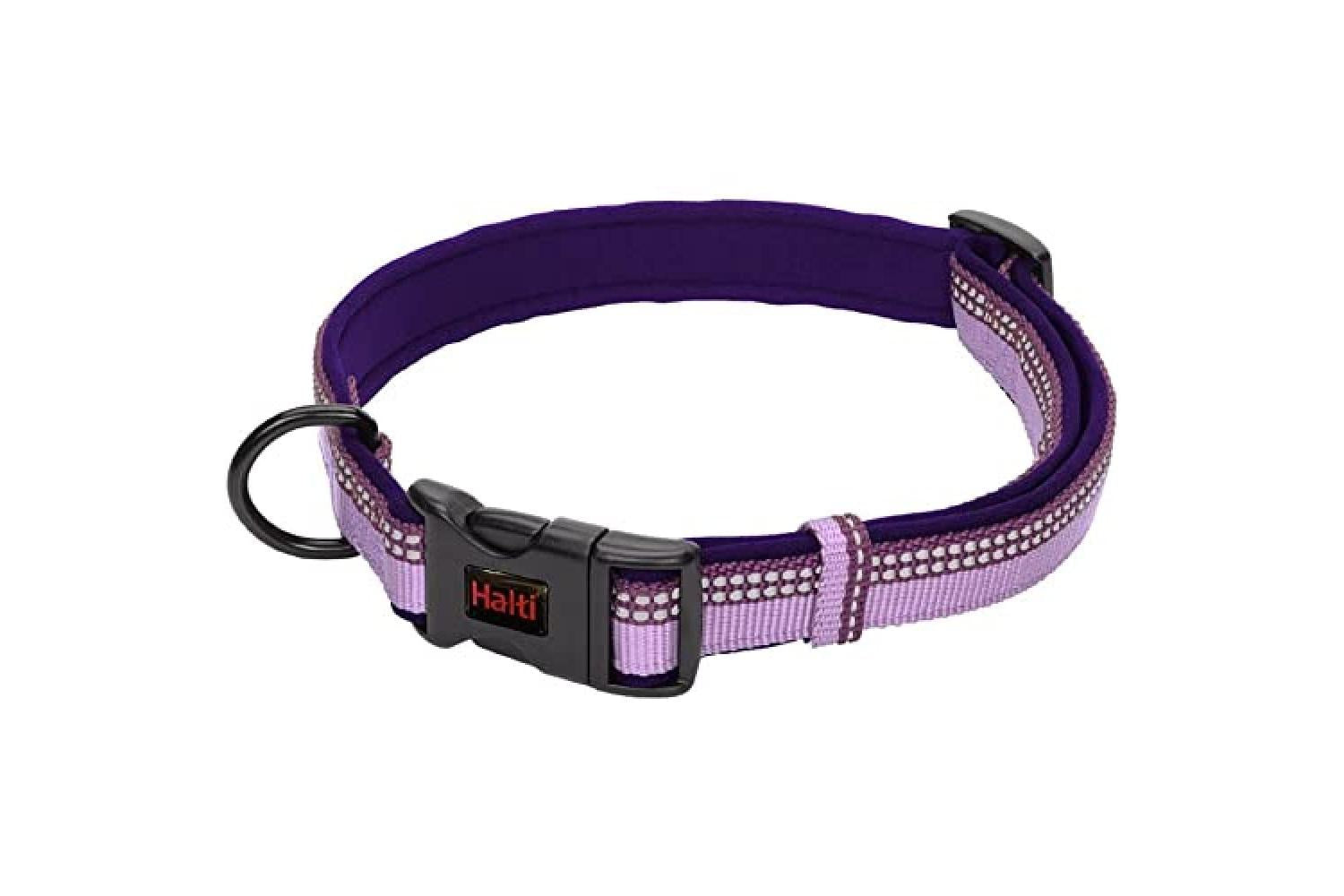 Company Of Animals Bp-646117 - Halti Collar Purple Med
