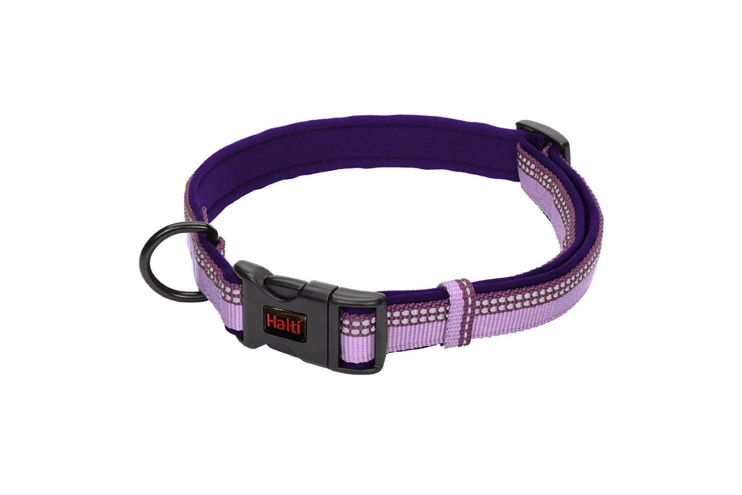 Company Of Animals Bp-646106 - Halti Collar Purple Sml