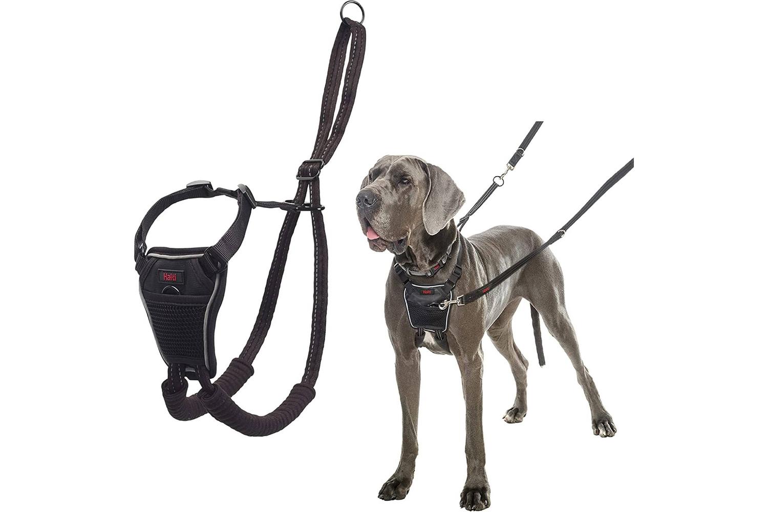 Company Of Animals Bp-610755 - Halti No Pull Harness Lge