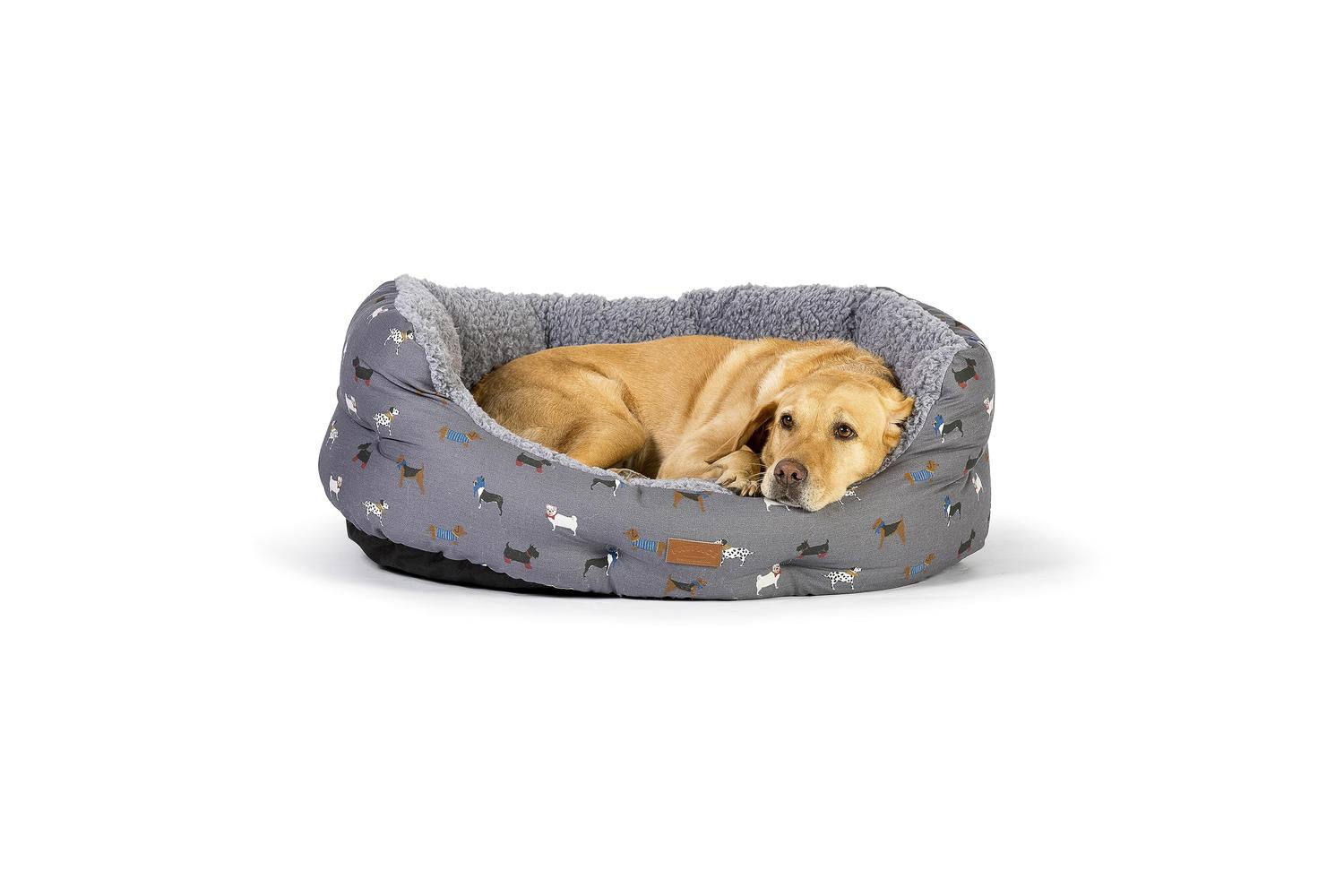 Danish Design Bp-661248 - Dd Fface March Dog Slumb - 30