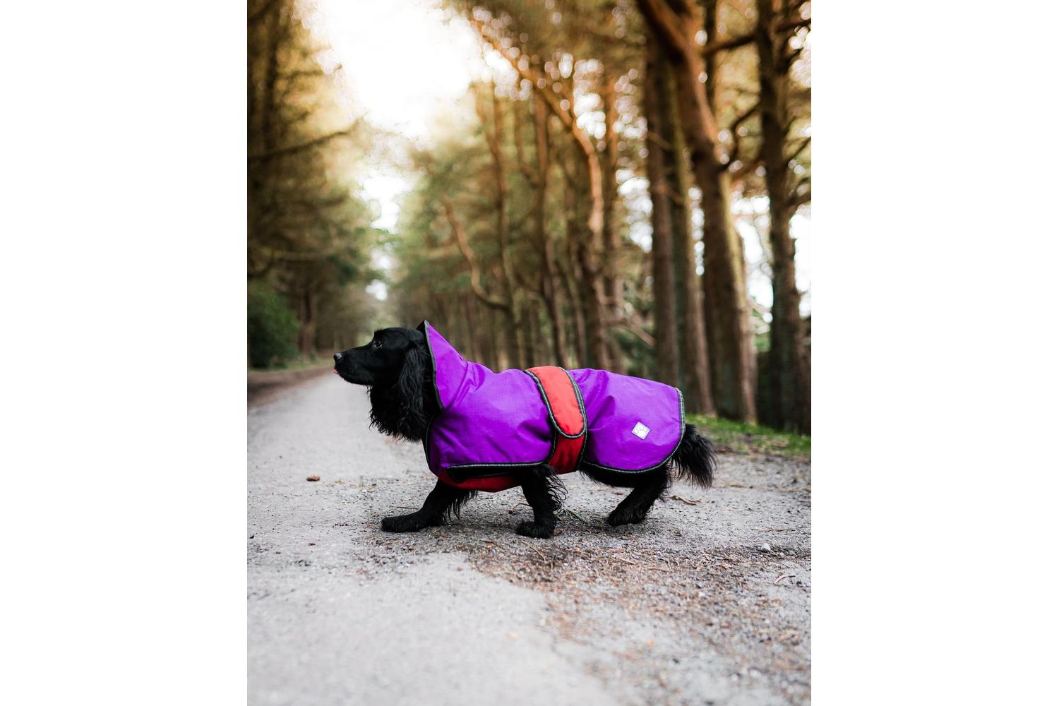 Danish Design Bp-41080 - Dd Dog Coat 2/1 Purple - 65cm-2