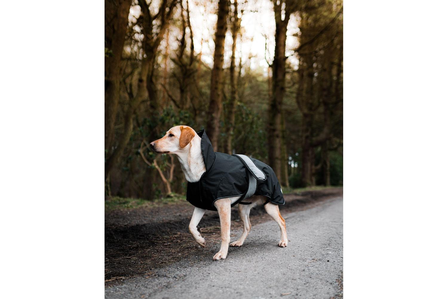 Danish Design Bp-959186 - Dd Dog Coat 2/1 Black - 65cm-3