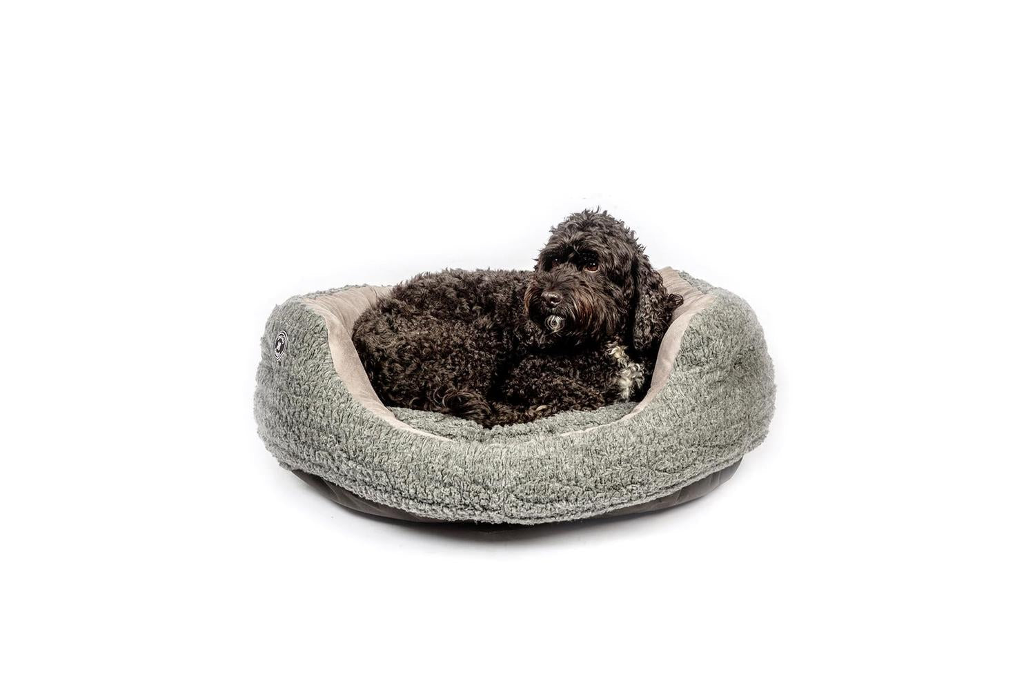 Danish Design Bp-71467 - Dd Bob P/ter Dlx Slumber 24