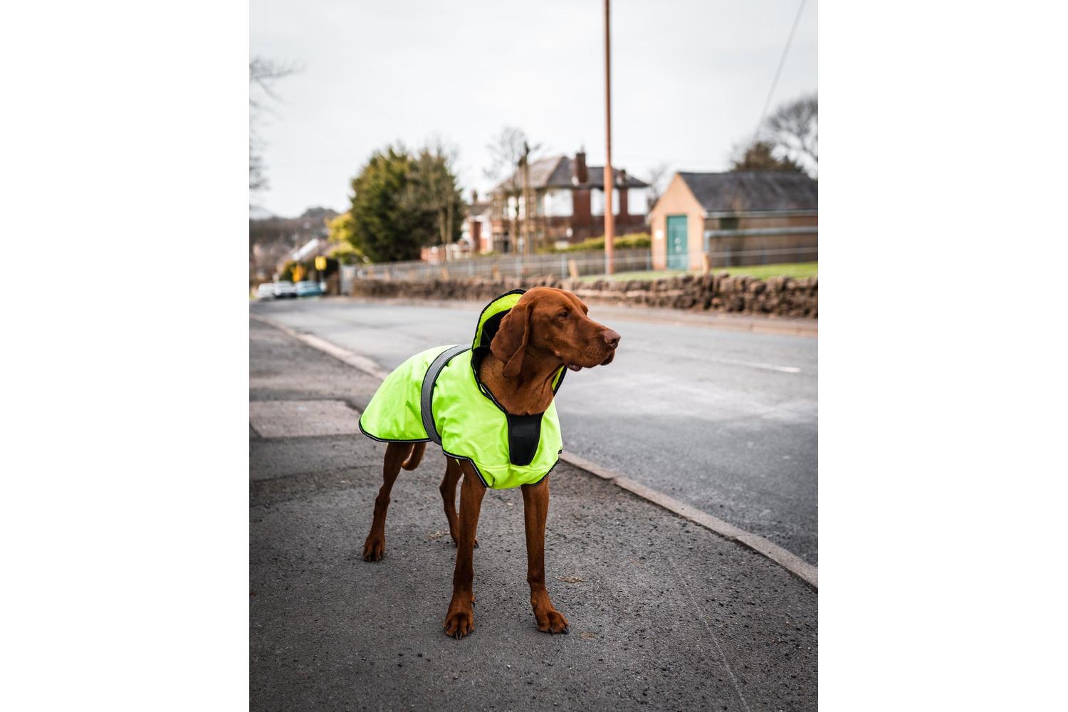 Danish Design Bp-241247 - Dd Dog Coat 2/1 Hi Viz - 55cm-2