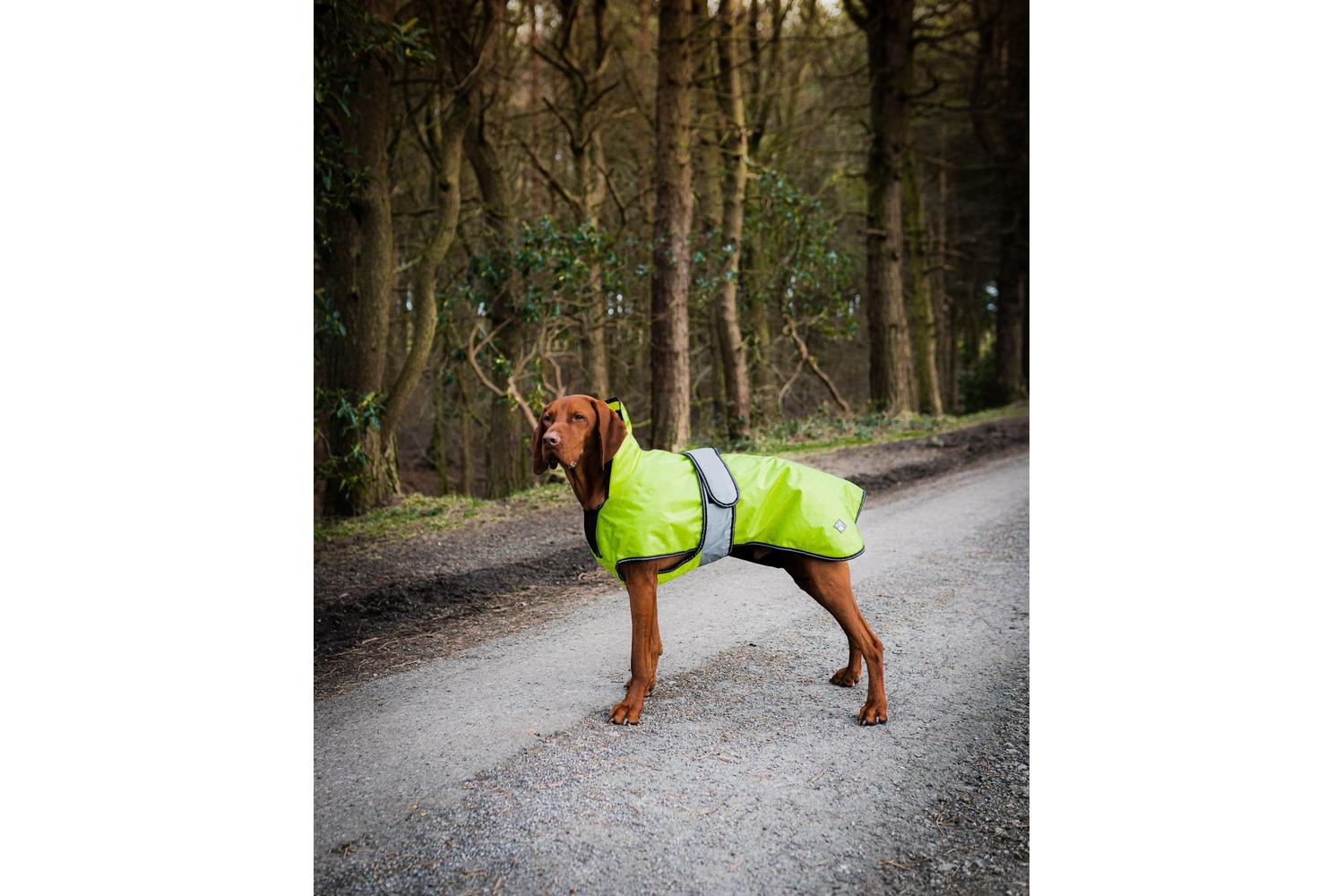 Danish Design Bp-241247 - Dd Dog Coat 2/1 Hi Viz - 55cm-3