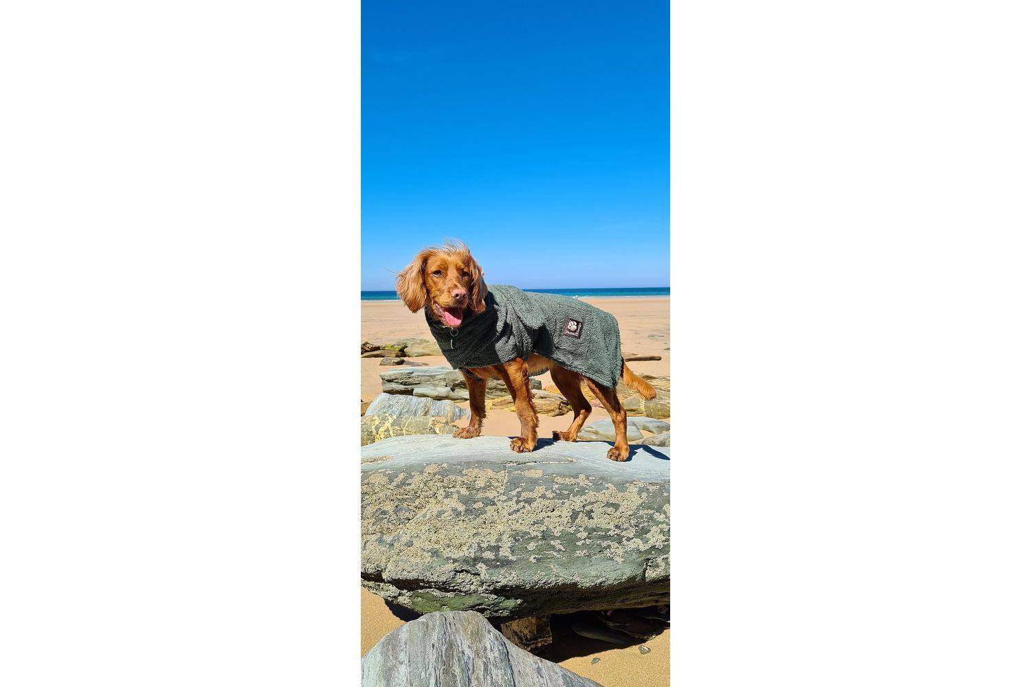 Danish Design Bp-423250 - Dd Dog Robe Green - 40cm-2