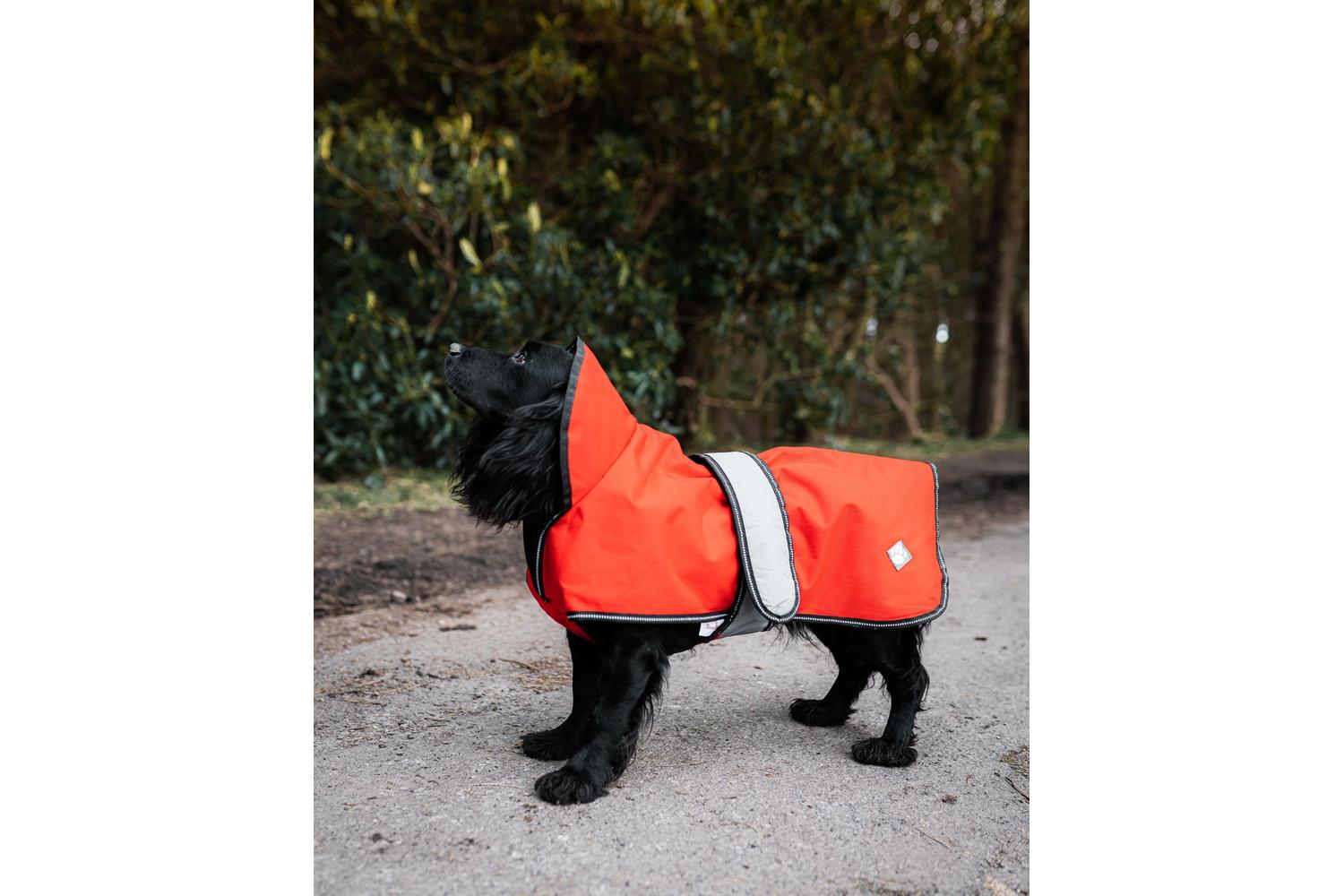 Danish Design Bp-957928 - Dd Dog Coat 2/1 Orange - 30cm-2