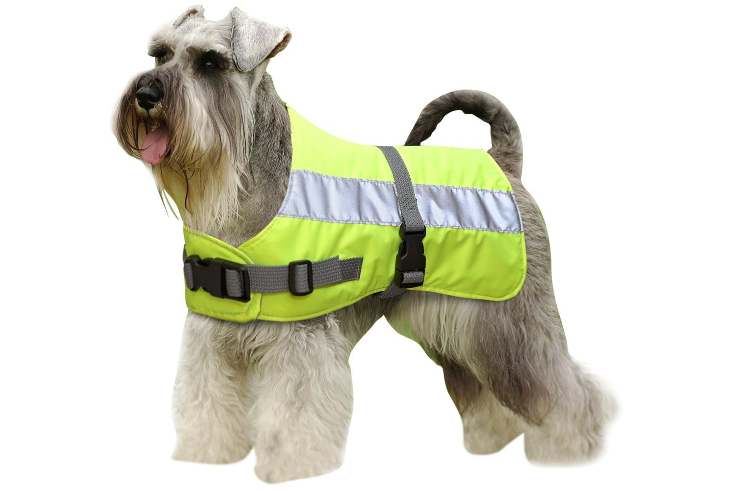 Flectalon Bp-573565 - Flectalon Dog Coat Yellw 22