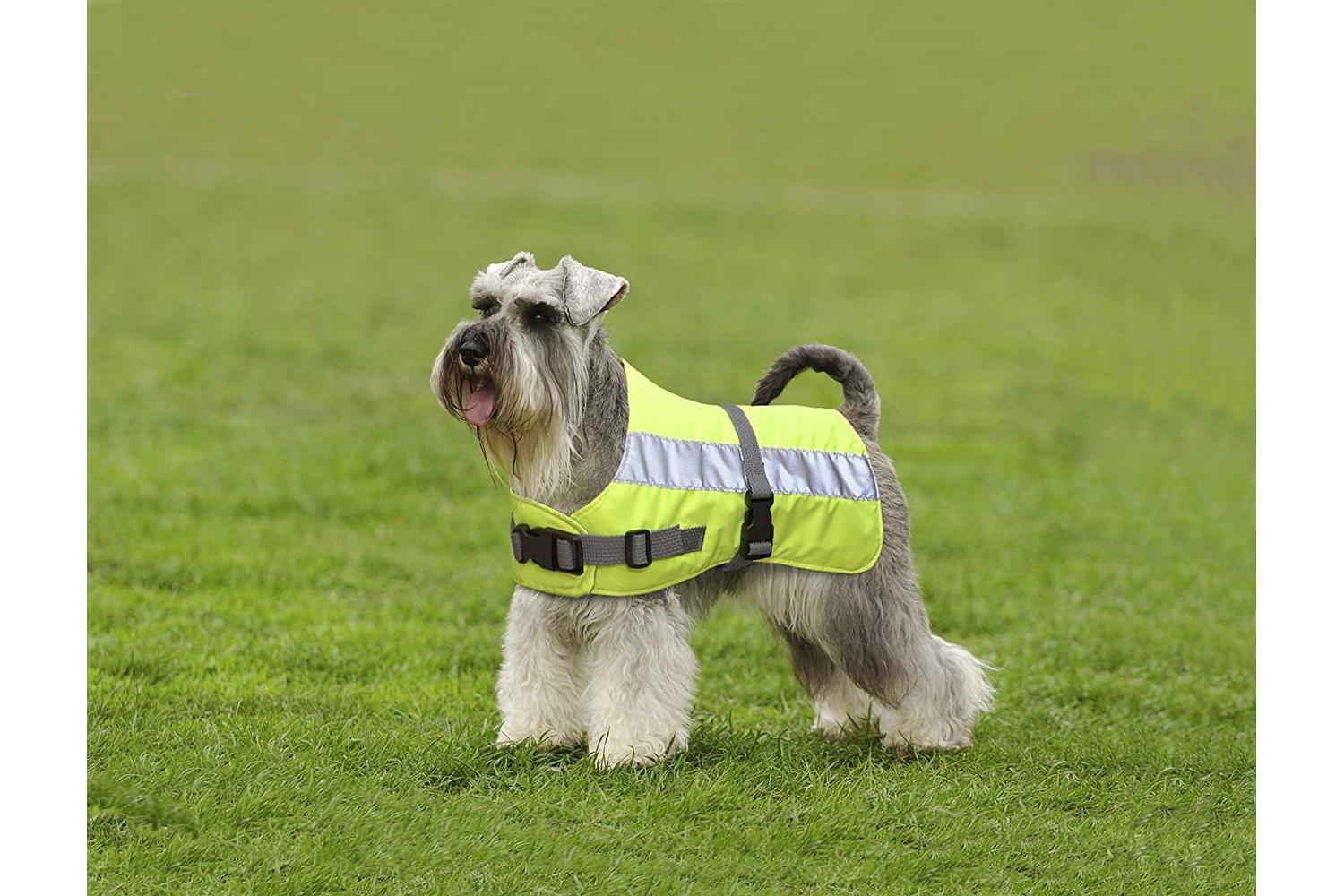 Flectalon Bp-573525 - Flectalon Dog Coat Yellw - 16