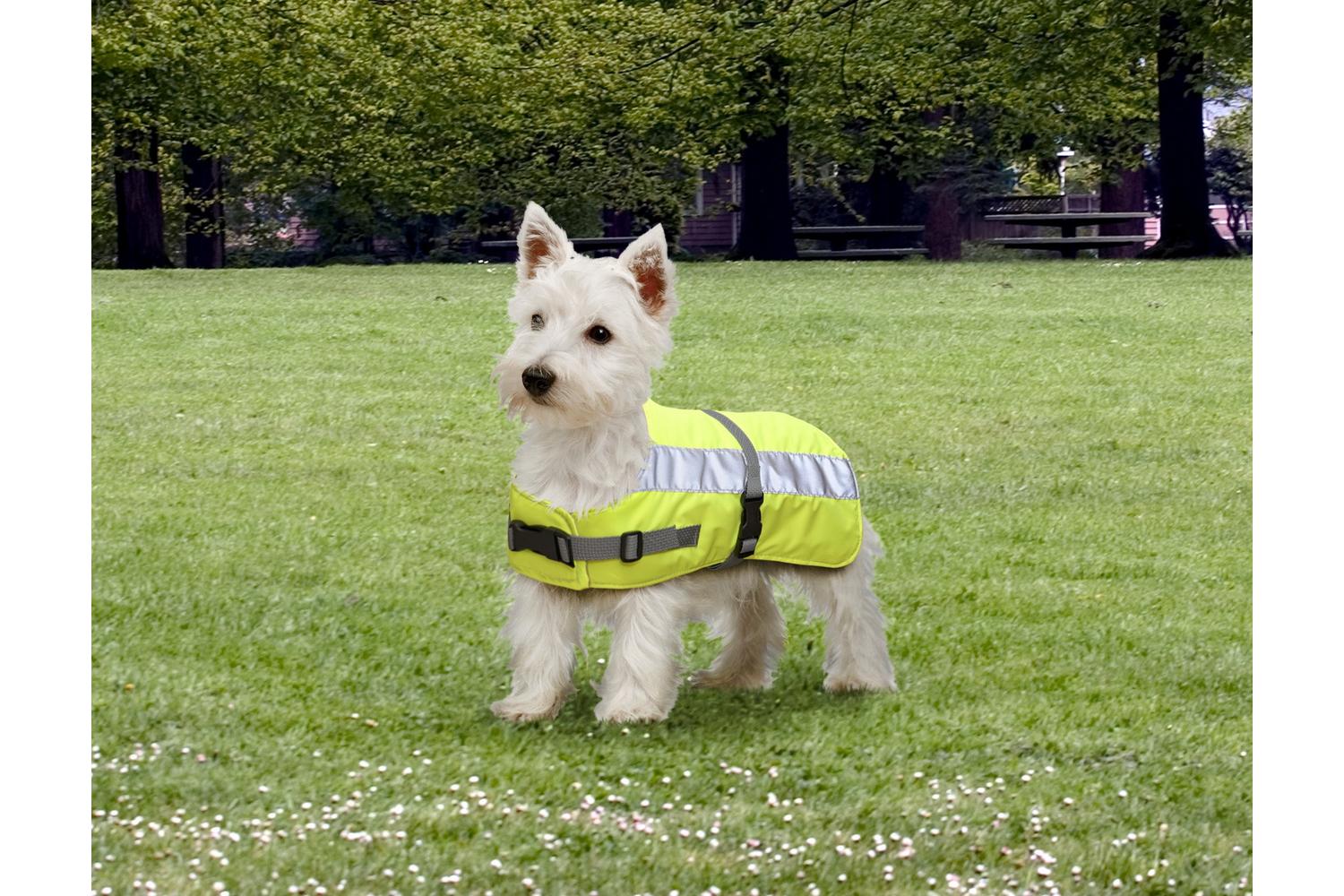 Flectalon Bp-573505 - Flectalon Dog Coat Yellw 12