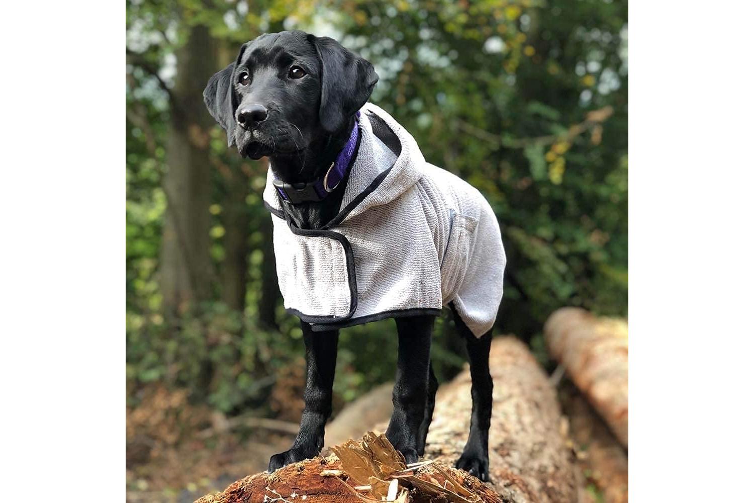 Happy Pet Bp-552097 - Groom Drying Coat - Lge-2
