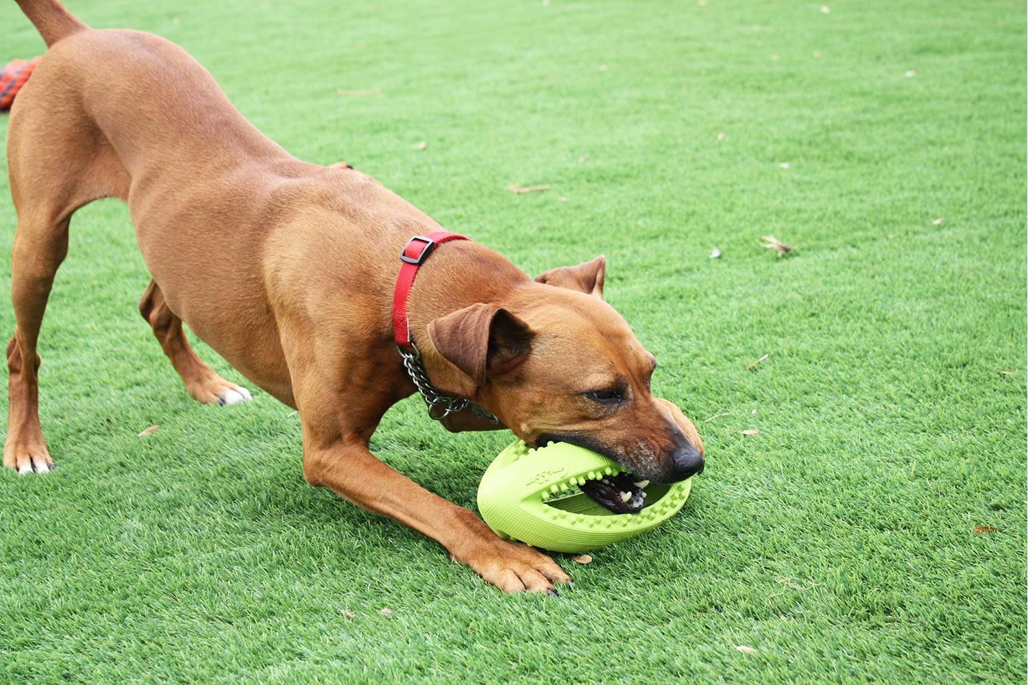 Happy Pet Bp-14294 - H/pet Grubber Rugby Ball - Sgl-2