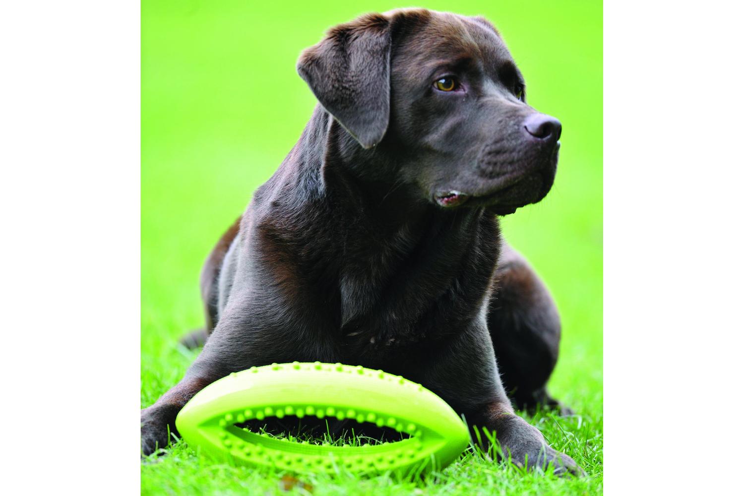Happy Pet Bp-14294 - H/pet Grubber Rugby Ball - Sgl-3